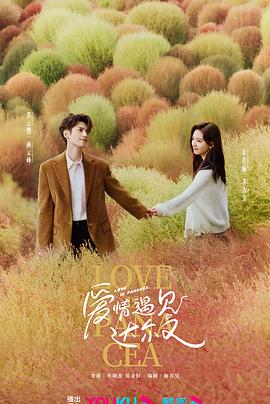 芝罘网站优化多少钱